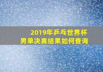 2019年乒乓世界杯男单决赛结果如何查询