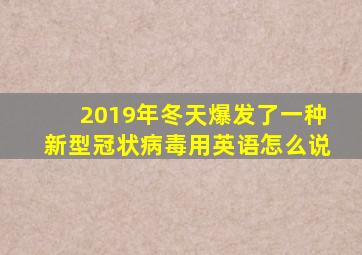 2019年冬天爆发了一种新型冠状病毒用英语怎么说