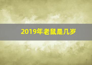 2019年老鼠是几岁