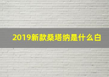 2019新款桑塔纳是什么白