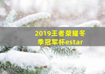 2019王者荣耀冬季冠军杯estar