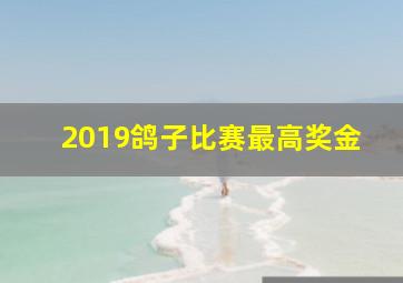 2019鸽子比赛最高奖金