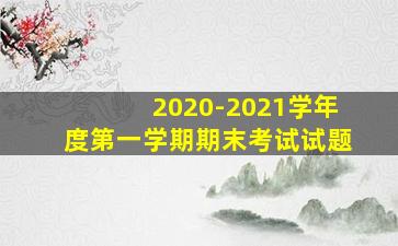 2020-2021学年度第一学期期末考试试题