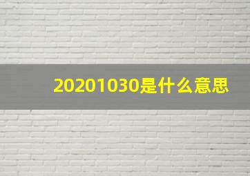 20201030是什么意思