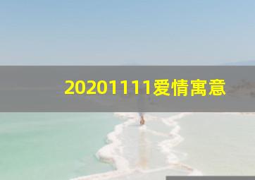 20201111爱情寓意