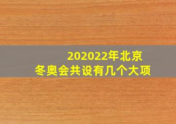 202022年北京冬奥会共设有几个大项