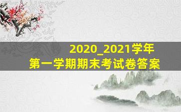 2020_2021学年第一学期期末考试卷答案