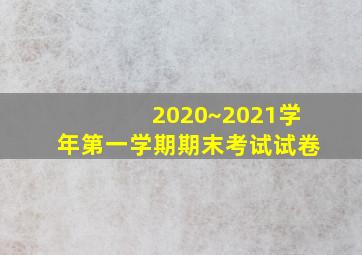 2020~2021学年第一学期期末考试试卷