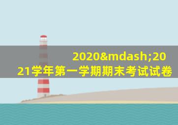 2020—2021学年第一学期期末考试试卷