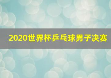 2020世界杯乒乓球男子决赛