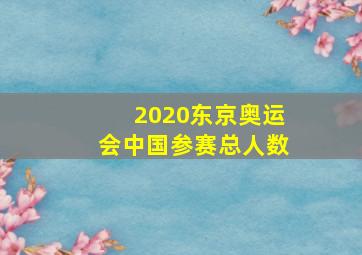 2020东京奥运会中国参赛总人数