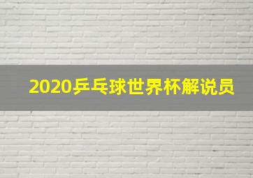 2020乒乓球世界杯解说员