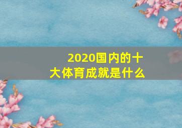 2020国内的十大体育成就是什么