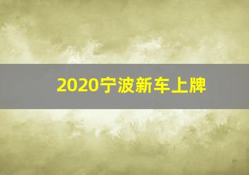 2020宁波新车上牌