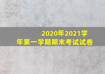 2020年2021学年第一学期期末考试试卷