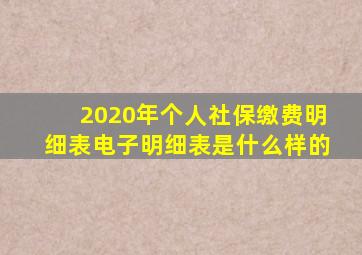 2020年个人社保缴费明细表电子明细表是什么样的