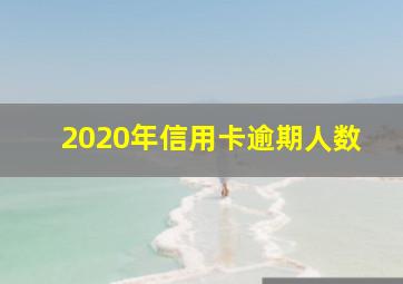 2020年信用卡逾期人数