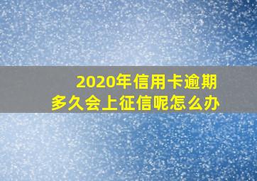 2020年信用卡逾期多久会上征信呢怎么办