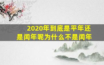 2020年到底是平年还是闰年呢为什么不是闰年