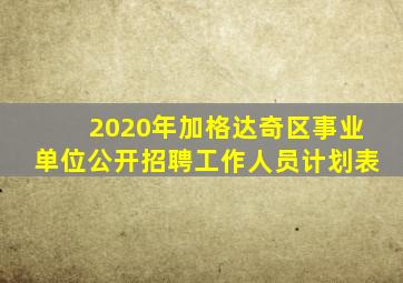 2020年加格达奇区事业单位公开招聘工作人员计划表