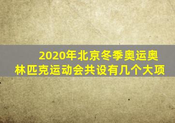 2020年北京冬季奥运奥林匹克运动会共设有几个大项