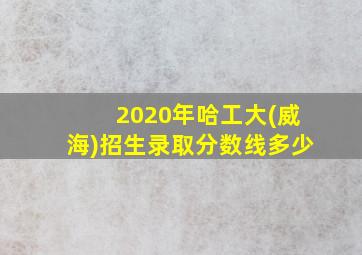 2020年哈工大(威海)招生录取分数线多少