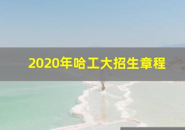 2020年哈工大招生章程