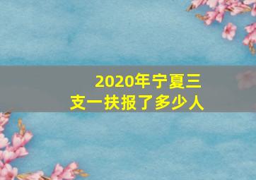 2020年宁夏三支一扶报了多少人