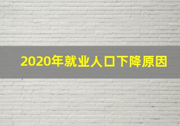 2020年就业人口下降原因