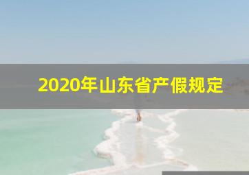 2020年山东省产假规定