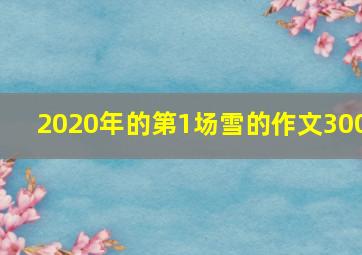 2020年的第1场雪的作文300