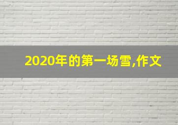 2020年的第一场雪,作文