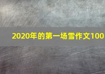 2020年的第一场雪作文100