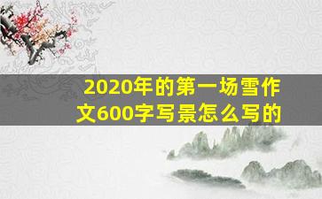 2020年的第一场雪作文600字写景怎么写的