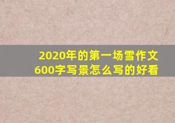 2020年的第一场雪作文600字写景怎么写的好看