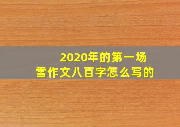 2020年的第一场雪作文八百字怎么写的