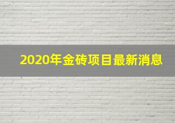 2020年金砖项目最新消息