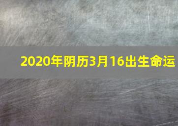 2020年阴历3月16出生命运