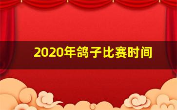 2020年鸽子比赛时间