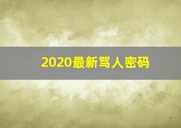 2020最新骂人密码