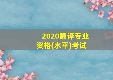 2020翻译专业资格(水平)考试