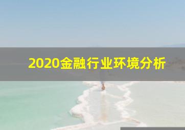 2020金融行业环境分析