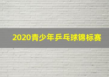 2020青少年乒乓球锦标赛