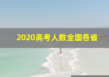 2020高考人数全国各省