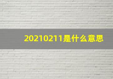 20210211是什么意思