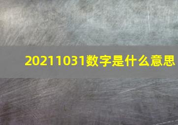 20211031数字是什么意思