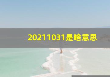 20211031是啥意思