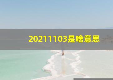 20211103是啥意思