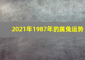 2021年1987年的属兔运势