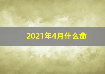 2021年4月什么命